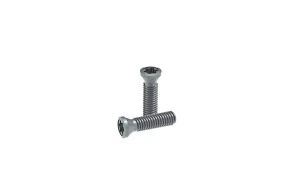 Śruba Torx SSV-M2.5x7-9506