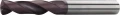 SK_3xD_TiAlN_img.webp
